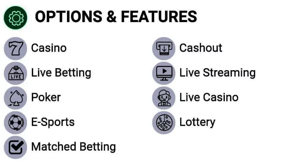 Best Cricket Betting Site in India